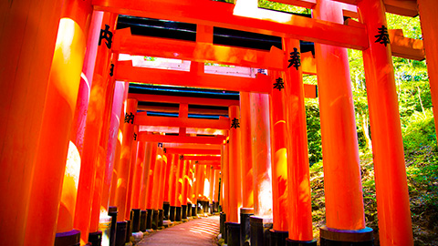 Fushimi-Inari Taisha Shrine